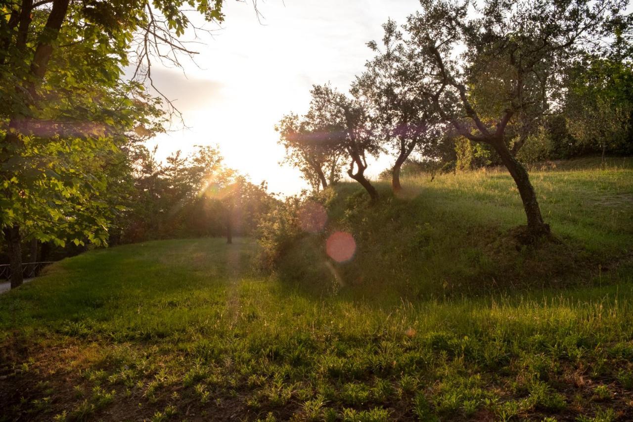 Agriturismo Le Cerque Collazzone Exterior photo